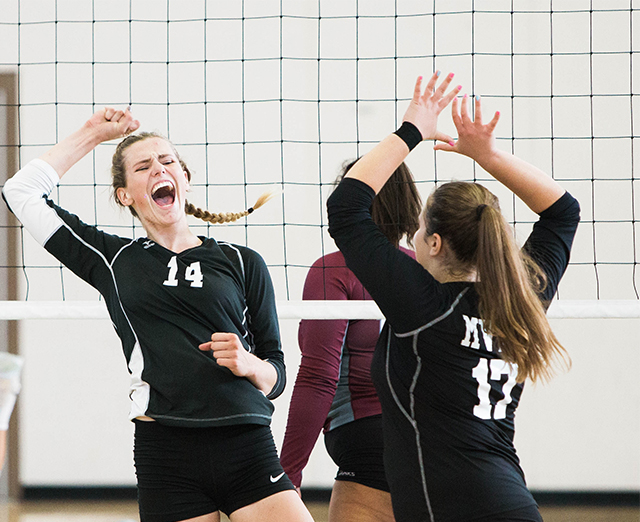 volleyball
