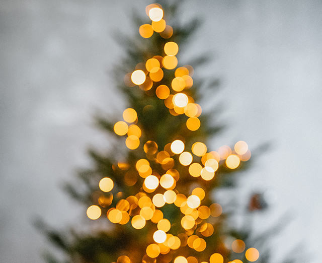 tree lights